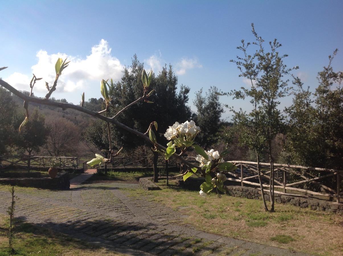 Le Cisterne Dell'Etna Hotel Calcerana-Marina Kültér fotó