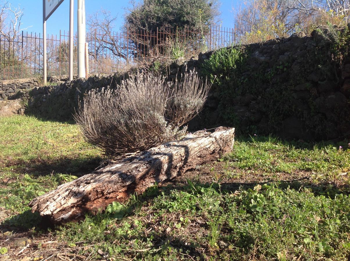 Le Cisterne Dell'Etna Hotel Calcerana-Marina Kültér fotó